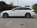 Mercedes-Benz C 250 SW d (bt) Premium 4matic auto Blanc - thumbnail 7
