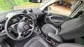 smart forFour smart forfour EQ passion, Exclusiv, Led, Pano, Kam Silber - thumbnail 5