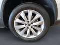 SEAT Ateca 1.5 TSI 150 HP BUSINESS Bianco - thumbnail 7
