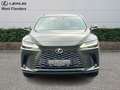 Lexus RX 450h Executive Line+cam+nav+sens V& Groen - thumbnail 2