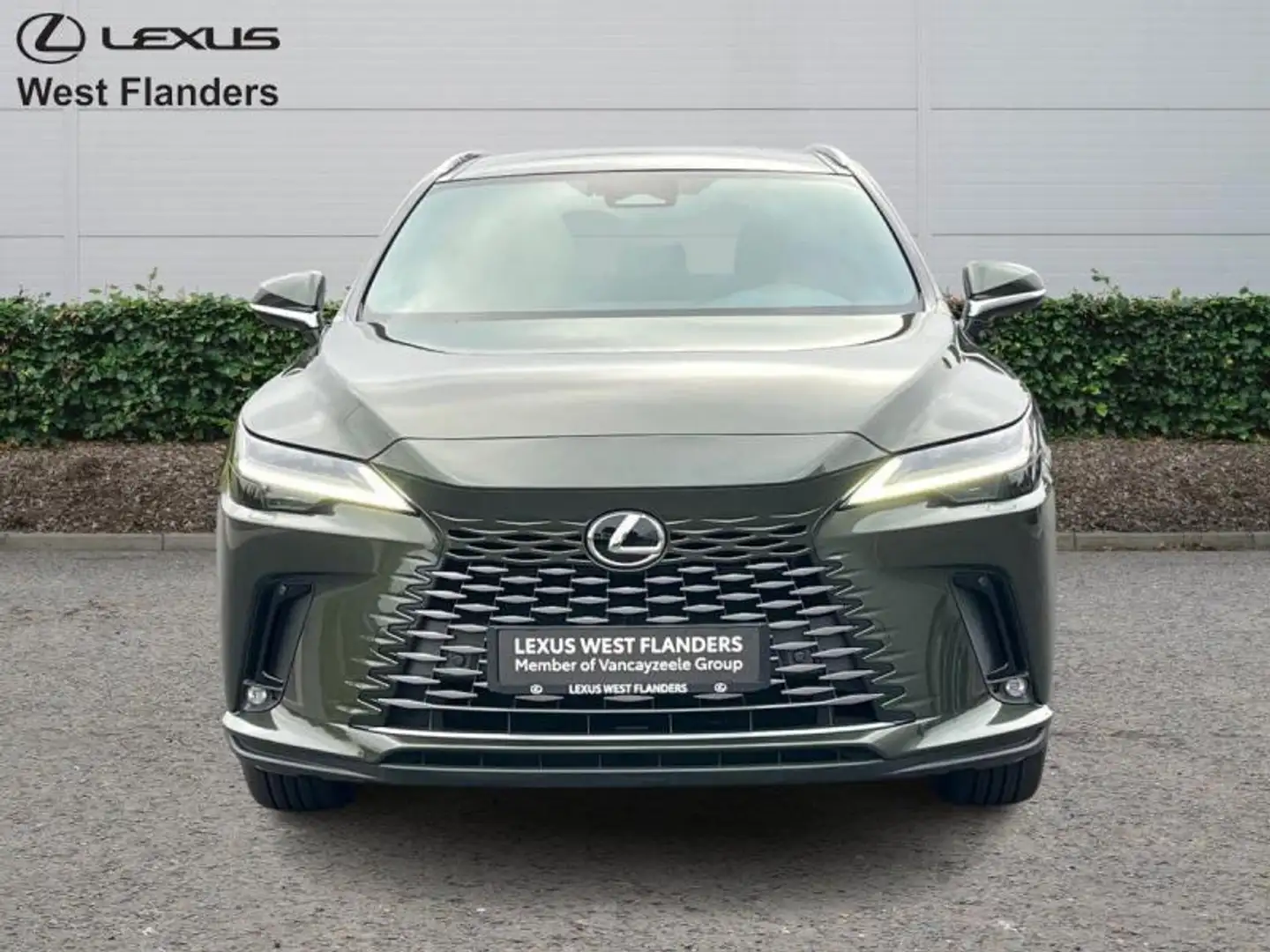Lexus RX 450h Executive Line+cam+nav+sens V& Groen - 2