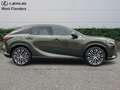 Lexus RX 450h Executive Line+cam+nav+sens V& Groen - thumbnail 3
