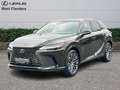 Lexus RX 450h Executive Line+cam+nav+sens V& Groen - thumbnail 1