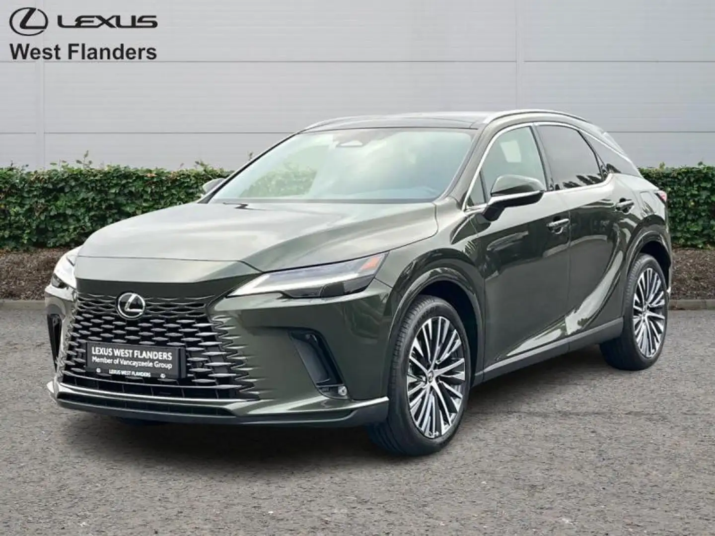 Lexus RX 450h Executive Line+cam+nav+sens V& Groen - 1