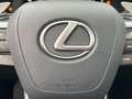 Lexus RX 450h Executive Line+cam+nav+sens V& Groen - thumbnail 29