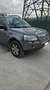Land Rover Freelander Freelander 2.2 td4 SE Vert - thumbnail 1