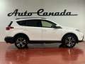 Toyota RAV 4 120D AWD Advance Blanc - thumbnail 4