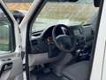 Mercedes-Benz Sprinter 3.0 Diesel I Kamera I TotWinkel I 3,5t I Tempomat Wit - thumbnail 4