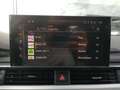 Audi A4 allroad 40 TDI 204cv S tronic quattro Pelle FariLED Navi Grau - thumbnail 33