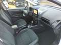 Ford EcoSport ST-Line 1.0 EcoBoost Autom. +AHK+Allwetter+Sitzhzg Weiß - thumbnail 13