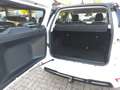 Ford EcoSport ST-Line 1.0 EcoBoost Autom. +AHK+Allwetter+Sitzhzg Weiß - thumbnail 16