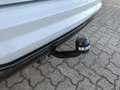 Ford EcoSport ST-Line 1.0 EcoBoost Autom. +AHK+Allwetter+Sitzhzg Weiß - thumbnail 17