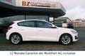 Ford Focus Lim. 1.5 TDCI Cool & Connect LED KLIMA SHZ Weiß - thumbnail 2