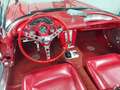 Corvette C1 Corvette H -Zulassung Rojo - thumbnail 18