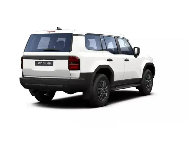 Toyota Land Cruiser view 8