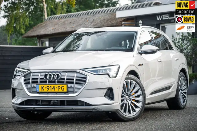 Audi e-tron E-tron 55 quattro advanced Pro Line Plus 95 kWh So