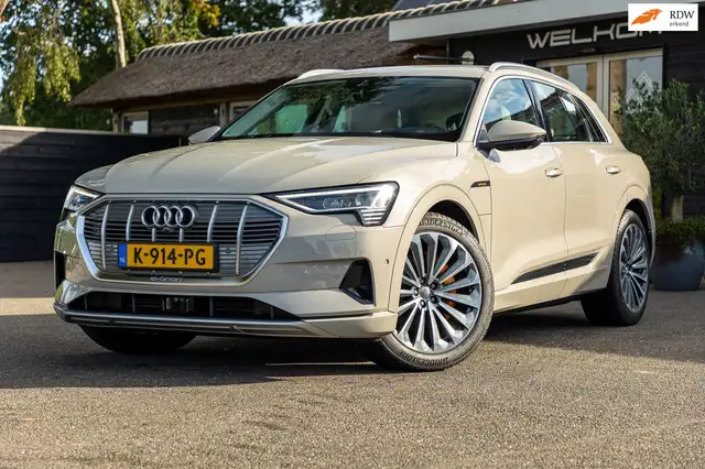 Audi e-tron E-tron 55 quattro advanced Pro Line Plus 95 kWh So