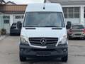 Mercedes-Benz Sprinter Kasten 316 CDI|AHK|TEMPOMAT|PDC Weiß - thumbnail 2