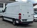 Mercedes-Benz Sprinter Kasten 316 CDI|AHK|TEMPOMAT|PDC Weiß - thumbnail 5