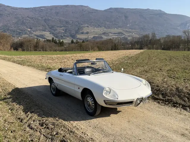Alfa Romeo Spider