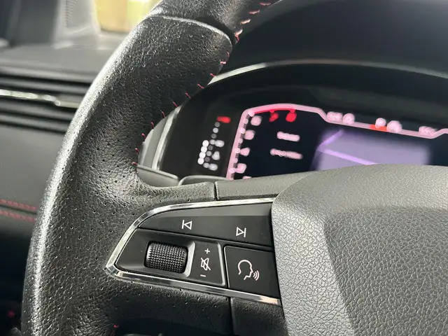Seat Ibiza view 29