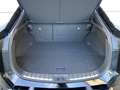Lexus RZ Privilege Line+360° cam+navi+s Noir - thumbnail 6
