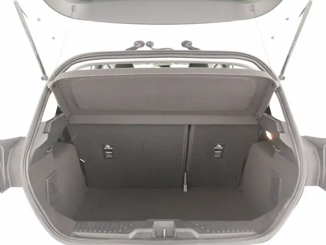 Ford Fiesta view 10