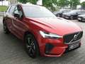 Volvo XC60 T6 Recharge R-Design Volvo XC60 T6 Recharge R-Desi Rot - thumbnail 4