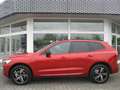 Volvo XC60 T6 Recharge R-Design Volvo XC60 T6 Recharge R-Desi Rot - thumbnail 5