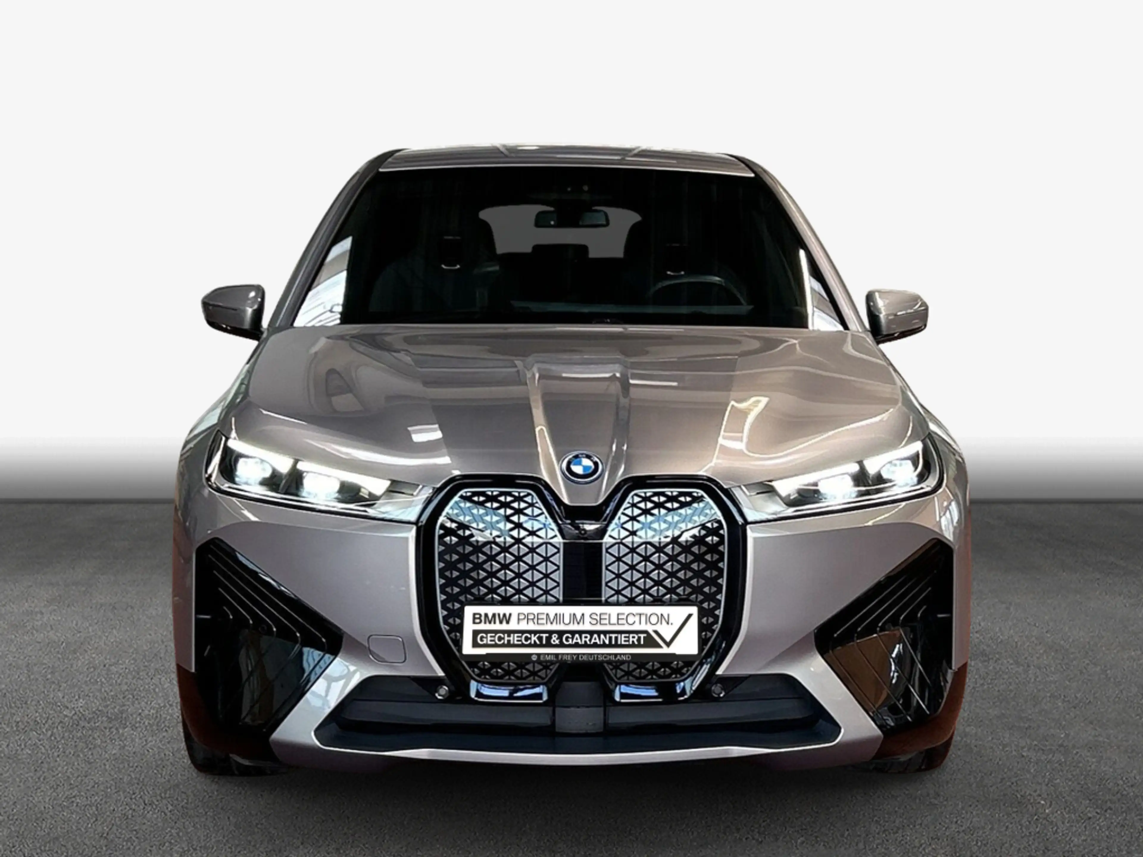 BMW iX xDrive40 AHK Navi H&K SHZ — photo 5