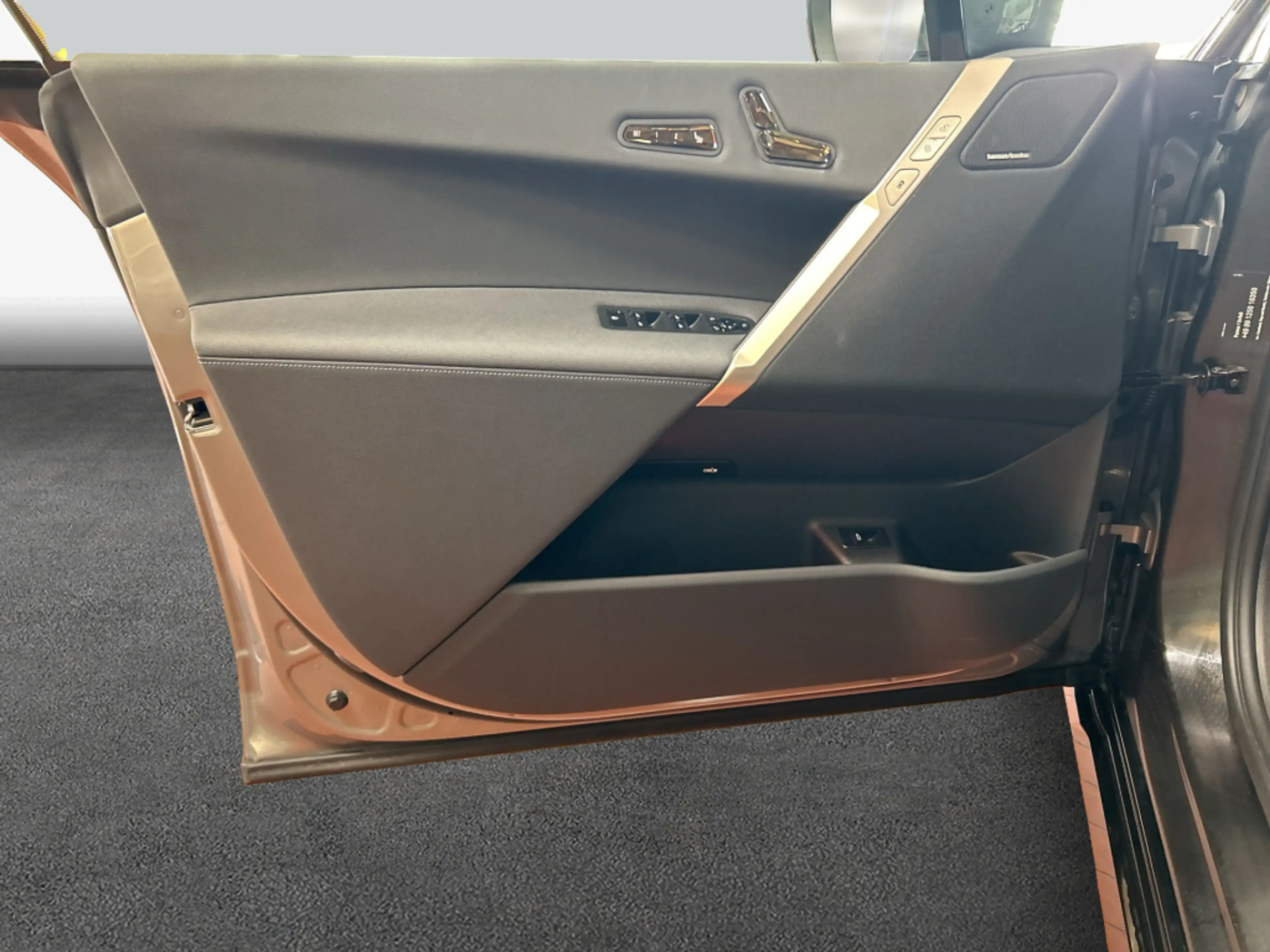 BMW iX xDrive40 AHK Navi H&K SHZ — photo 21