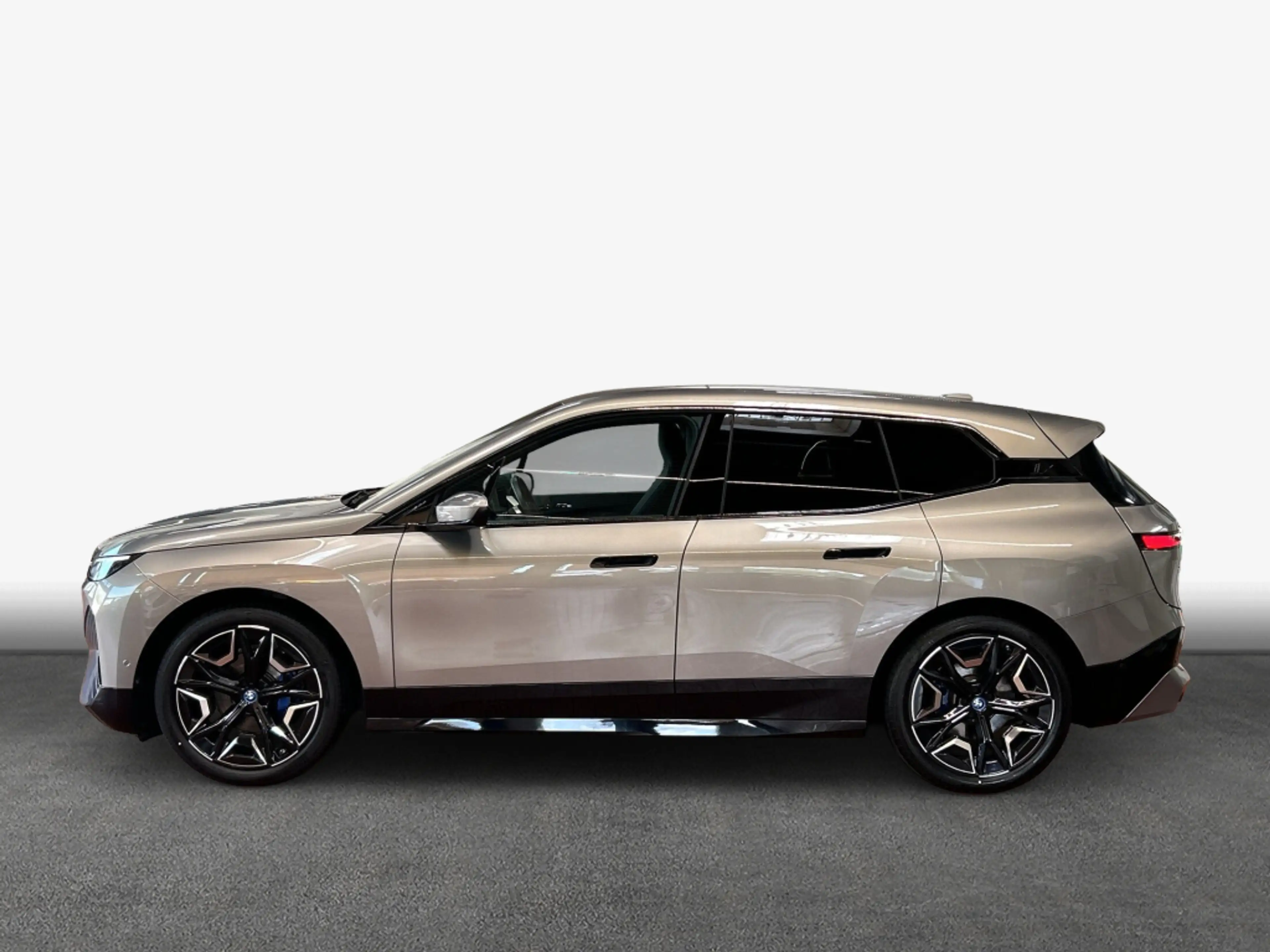 BMW iX xDrive40 AHK Navi H&K SHZ — photo 6
