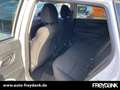 Hyundai i20 FL (MJ24) 1.0 T-Gdi  (120PS) 48V iMT Prime Dachlac Biały - thumbnail 11