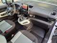 Citroen Berlingo CITROEN 1.5 BLUEHDI 100 CV CON TRAMPILLA Blanco - thumbnail 7