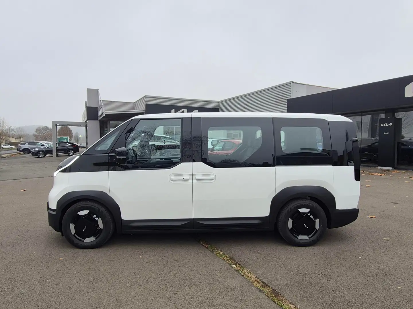 Kia PV5 Passenger Passenger Earth 71KWH FWD 163 (33.000€ netto) Weiß - 2