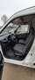 Fiat Doblo (nieuwe ketting, koppeling & roetfilter!!!) Wit - thumbnail 9