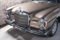 Mercedes-Benz 280 SE Amarillo - thumbnail 4