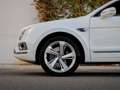 Bentley Bentayga V8 4.0 550ch Weiß - thumbnail 7