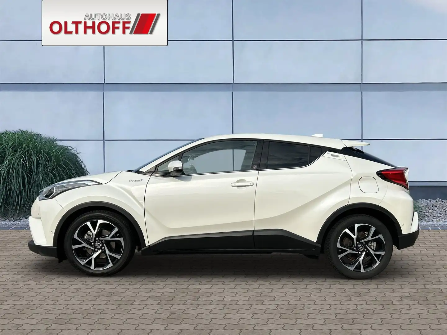 Toyota C-HR Hybrid Team D Weiß - 2