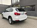 BMW X5 sDrive 25dA Blanco - thumbnail 7