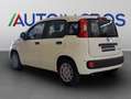 Fiat Panda 1.0 FireFly Hybrid Alb - thumbnail 3