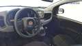Fiat Panda 1.0 FireFly Hybrid Alb - thumbnail 11
