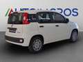Fiat Panda 1.0 FireFly Hybrid Alb - thumbnail 5