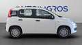 Fiat Panda 1.0 FireFly Hybrid Alb - thumbnail 6