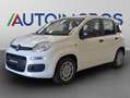 Fiat Panda 1.0 FireFly Hybrid Alb - thumbnail 1