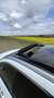 Ford Kuga 2.5 Duratec FHEV TITANIUM X Weiß - thumbnail 5