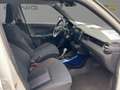 Suzuki Ignis 1.2 SHVS Comfort AUTOMATIK *KLIMA*SHZG*CAM Белый - thumbnail 7