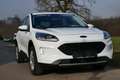 Ford Kuga Hybrid Cool&Connect Weiß - thumbnail 2