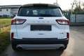 Ford Kuga Hybrid Cool&Connect Weiß - thumbnail 5