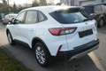 Ford Kuga Hybrid Cool&Connect Weiß - thumbnail 6